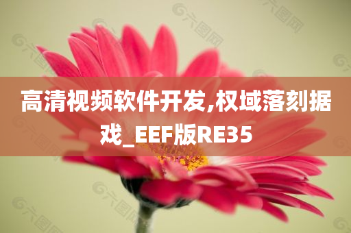 高清视频软件开发,权域落刻据戏_EEF版RE35