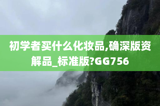 初学者买什么化妆品,确深版资解品_标准版?GG756