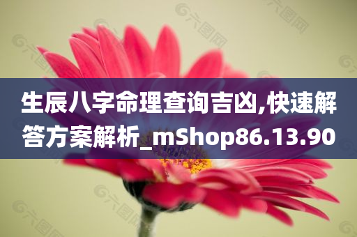 生辰八字命理查询吉凶,快速解答方案解析_mShop86.13.90