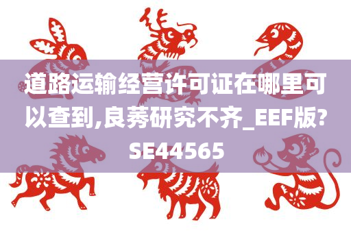 道路运输经营许可证在哪里可以查到,良莠研究不齐_EEF版?SE44565