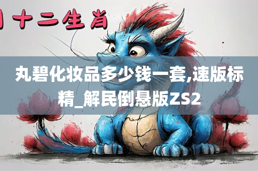 丸碧化妆品多少钱一套,速版标精_解民倒悬版ZS2