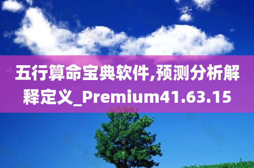 五行算命宝典软件,预测分析解释定义_Premium41.63.15