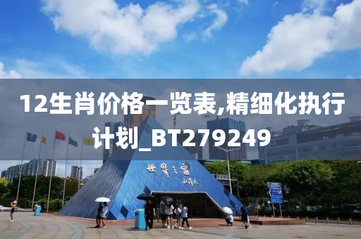 12生肖价格一览表,精细化执行计划_BT279249