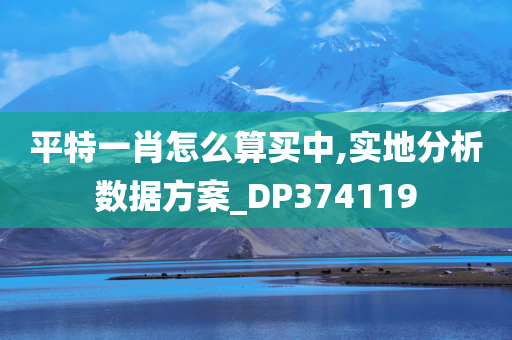 平特一肖怎么算买中,实地分析数据方案_DP374119