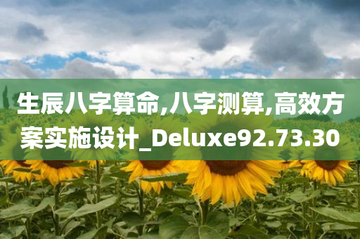 生辰八字算命,八字测算,高效方案实施设计_Deluxe92.73.30