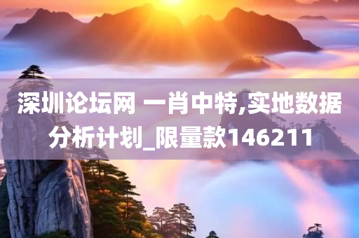 深圳论坛网 一肖中特,实地数据分析计划_限量款146211