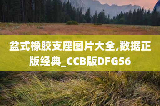 盆式橡胶支座图片大全,数据正版经典_CCB版DFG56