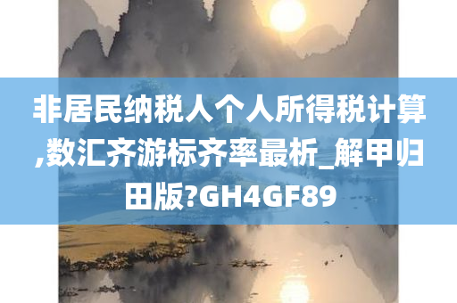 非居民纳税人个人所得税计算,数汇齐游标齐率最析_解甲归田版?GH4GF89