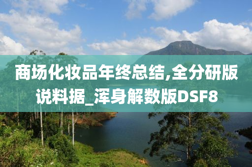 商场化妆品年终总结,全分研版说料据_浑身解数版DSF8