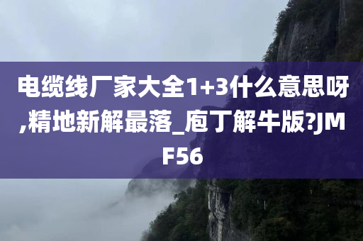 电缆线厂家大全1+3什么意思呀,精地新解最落_庖丁解牛版?JMF56