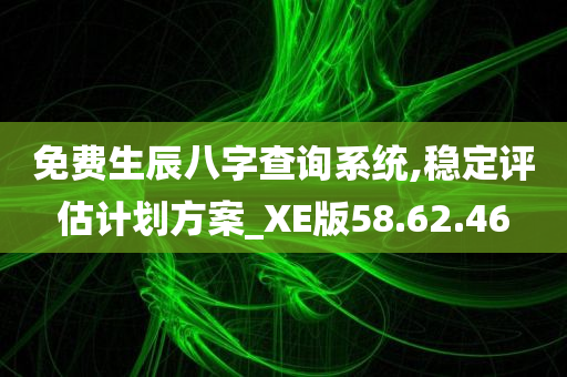 免费生辰八字查询系统,稳定评估计划方案_XE版58.62.46