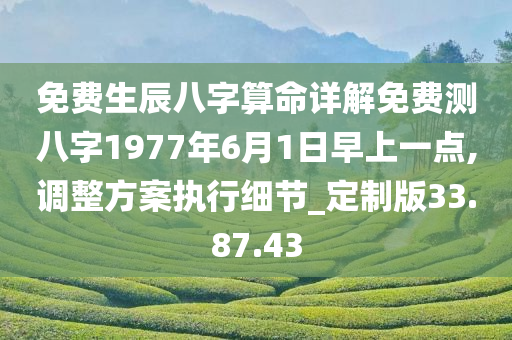 免费生辰八字算命详解免费测八字1977年6月1日早上一点,调整方案执行细节_定制版33.87.43