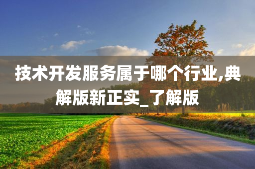 技术开发服务属于哪个行业,典解版新正实_了解版