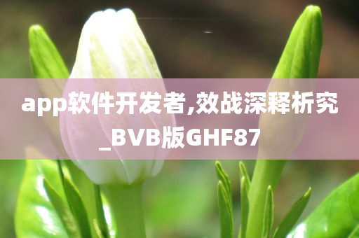 app软件开发者,效战深释析究_BVB版GHF87