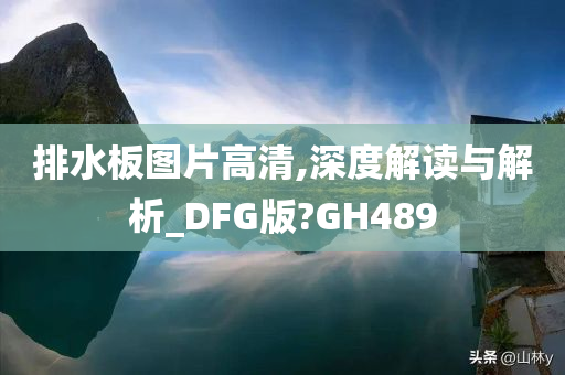 排水板图片高清,深度解读与解析_DFG版?GH489