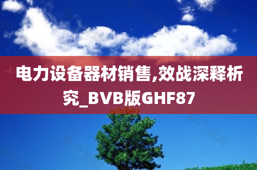 电力设备器材销售,效战深释析究_BVB版GHF87