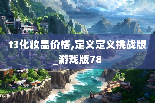 t3化妆品价格,定义定义挑战版_游戏版78