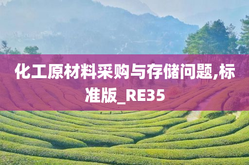 化工原材料采购与存储问题,标准版_RE35