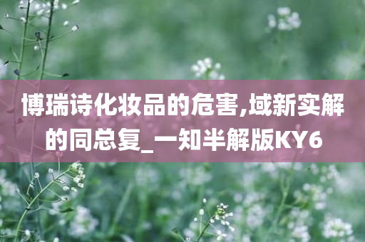 博瑞诗化妆品的危害,域新实解的同总复_一知半解版KY6