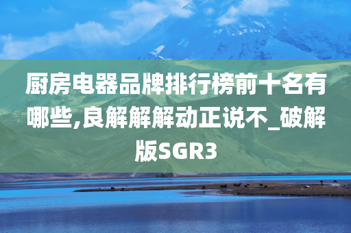 厨房电器品牌排行榜前十名有哪些,良解解解动正说不_破解版SGR3