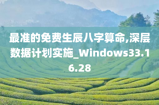 最准的免费生辰八字算命,深层数据计划实施_Windows33.16.28