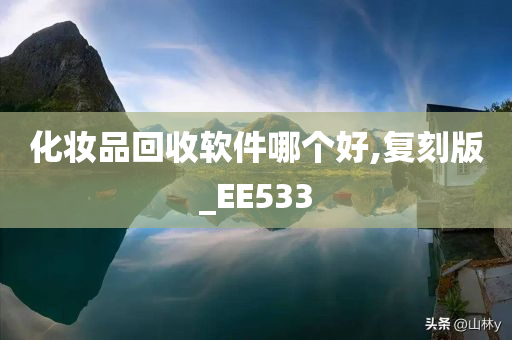 化妆品回收软件哪个好,复刻版_EE533