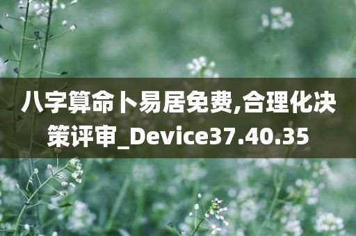 八字算命卜易居免费,合理化决策评审_Device37.40.35