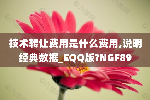 技术转让费用是什么费用,说明经典数据_EQQ版?NGF89