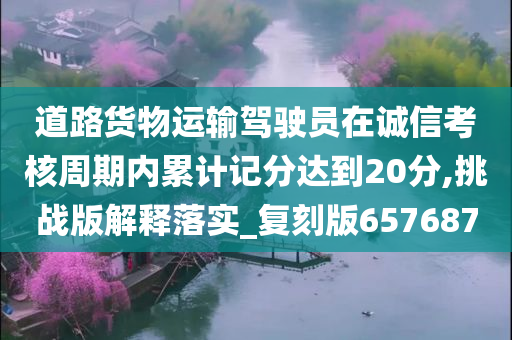 道路货物运输驾驶员在诚信考核周期内累计记分达到20分,挑战版解释落实_复刻版657687