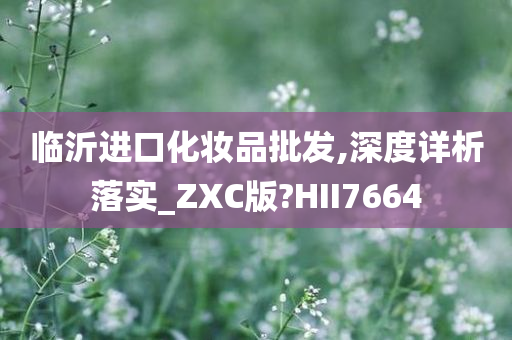 临沂进口化妆品批发,深度详析落实_ZXC版?HII7664