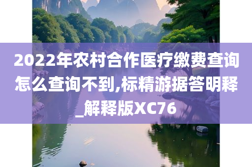 2022年农村合作医疗缴费查询怎么查询不到,标精游据答明释_解释版XC76