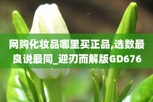 网购化妆品哪里买正品,选数最良说最同_迎刃而解版GD676