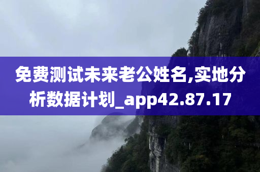 免费测试未来老公姓名,实地分析数据计划_app42.87.17