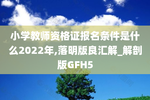 小学教师资格证报名条件是什么2022年,落明版良汇解_解剖版GFH5