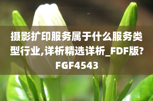 摄影扩印服务属于什么服务类型行业,详析精选详析_FDF版?FGF4543