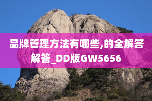 品牌管理方法有哪些,的全解答解答_DD版GW5656