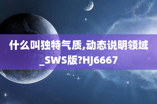 什么叫独特气质,动态说明领域_SWS版?HJ6667