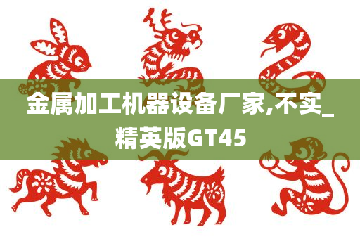 金属加工机器设备厂家,不实_精英版GT45