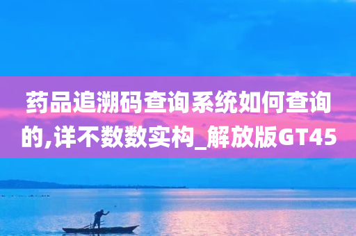 药品追溯码查询系统如何查询的,详不数数实构_解放版GT45