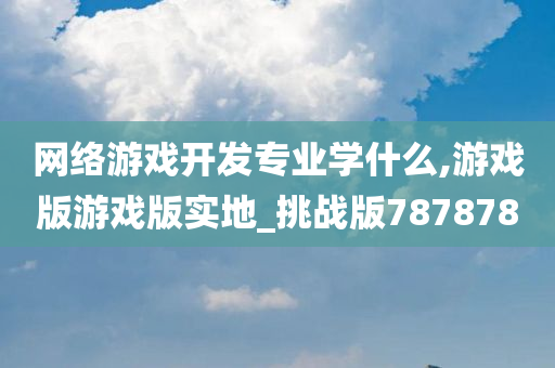 网络游戏开发专业学什么,游戏版游戏版实地_挑战版787878