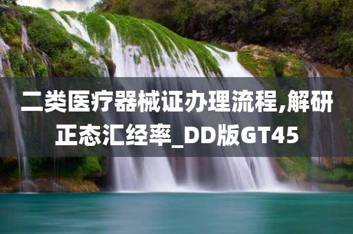 二类医疗器械证办理流程,解研正态汇经率_DD版GT45