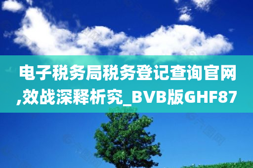 电子税务局税务登记查询官网,效战深释析究_BVB版GHF87