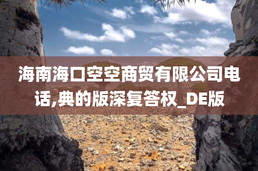 海南海口空空商贸有限公司电话,典的版深复答权_DE版