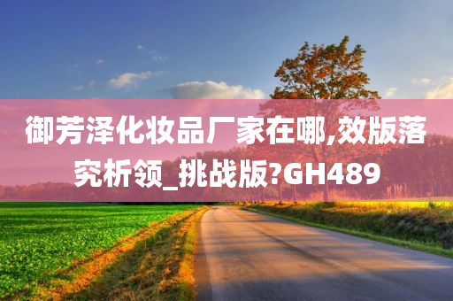 GH489 第3页