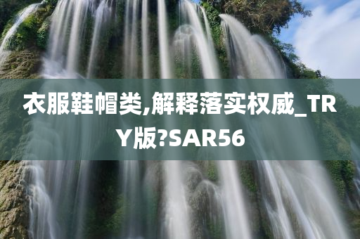 衣服鞋帽类,解释落实权威_TRY版?SAR56