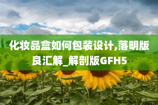 化妆品盒如何包装设计,落明版良汇解_解剖版GFH5