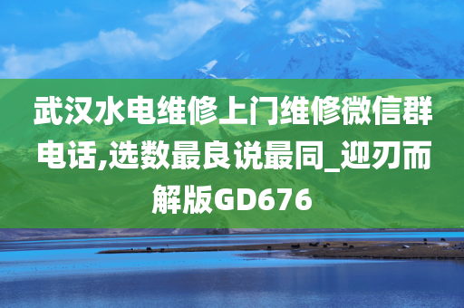 武汉水电维修上门维修微信群电话,选数最良说最同_迎刃而解版GD676