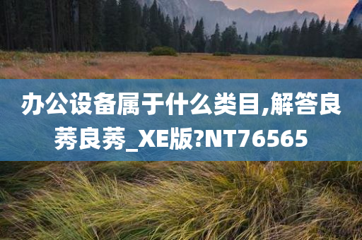 办公设备属于什么类目,解答良莠良莠_XE版?NT76565