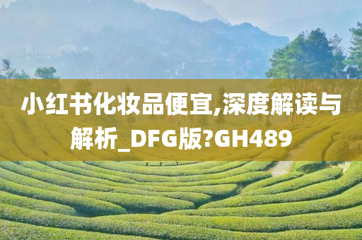 小红书化妆品便宜,深度解读与解析_DFG版?GH489