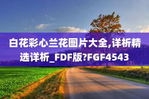 白花彩心兰花图片大全,详析精选详析_FDF版?FGF4543